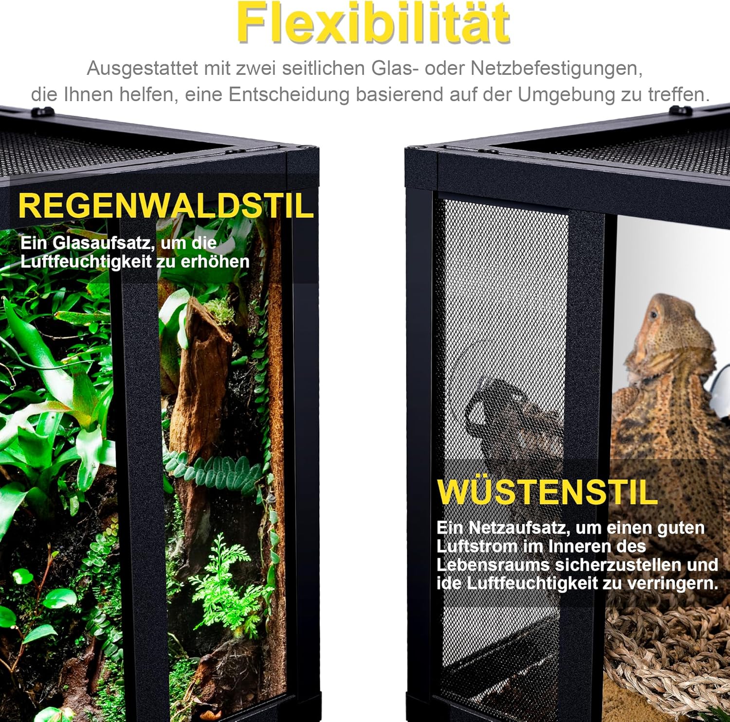 NEPTONION Glasterrarium - Bild 3
