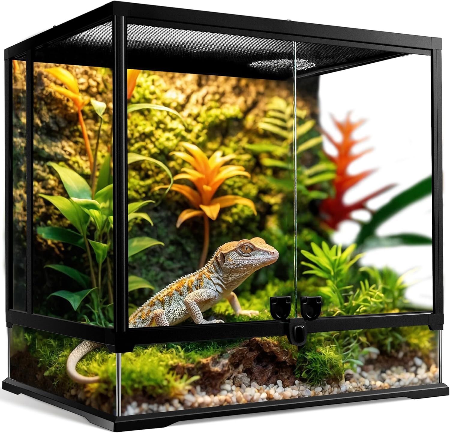 NEPTONION Glasterrarium