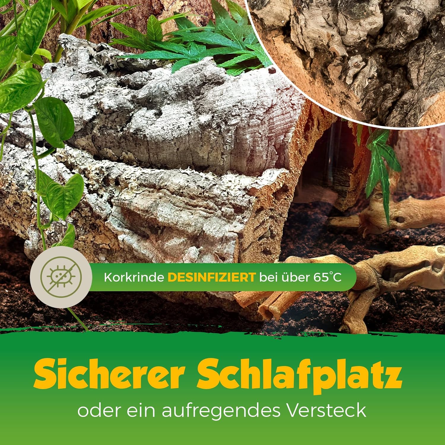 Kork-Deko Terrarium - Bild 2