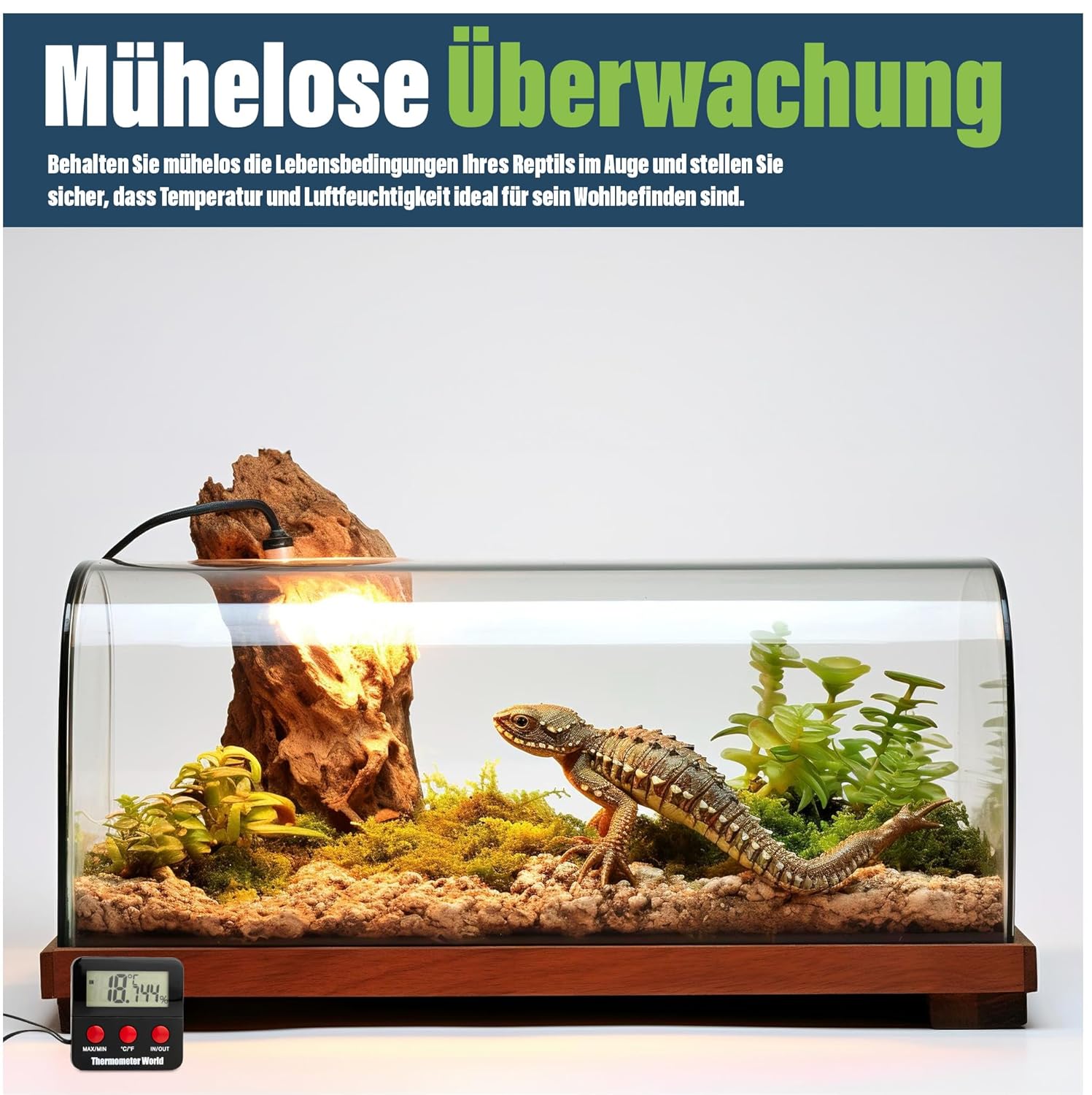 Thermometer World Digitales Thermo-Hygrometer Terrarium - Bild 5