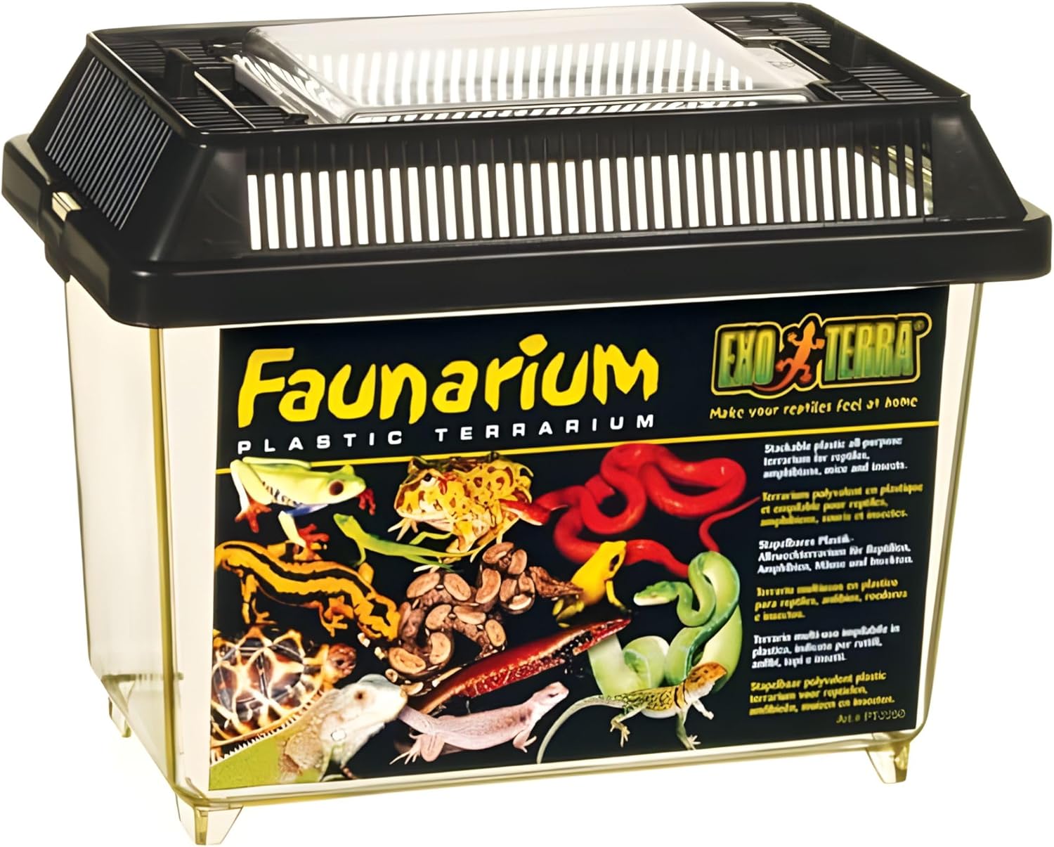 Exo Terra Faunarium - Bild 4