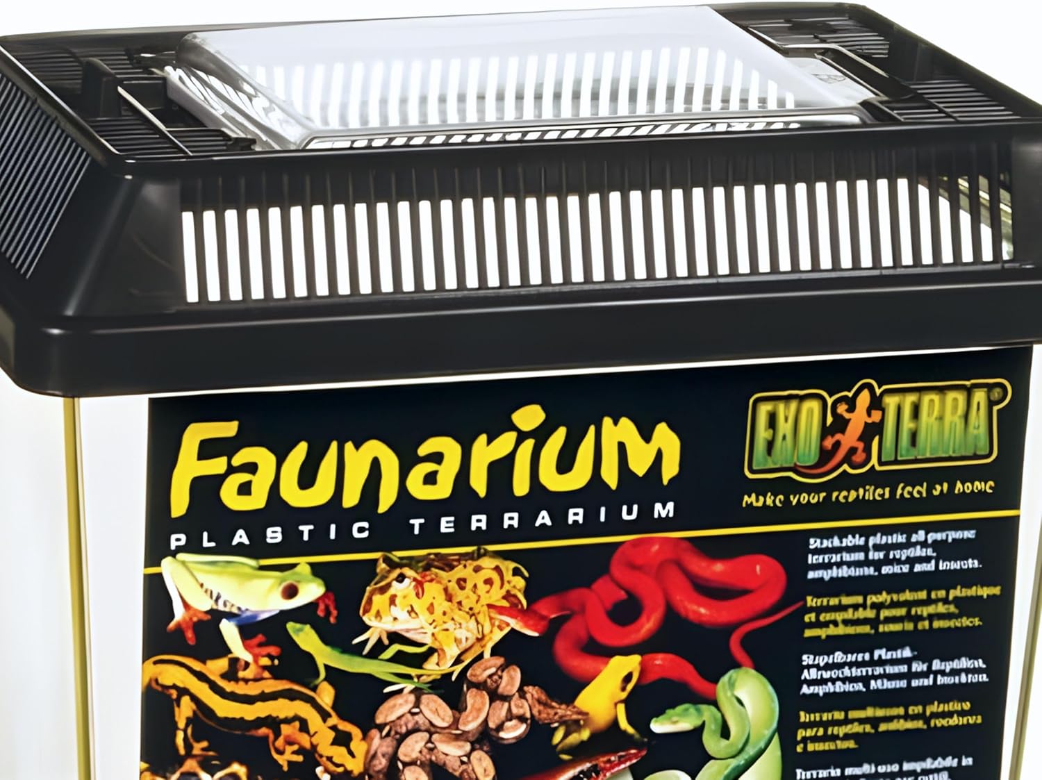Exo Terra Faunarium - Bild 2