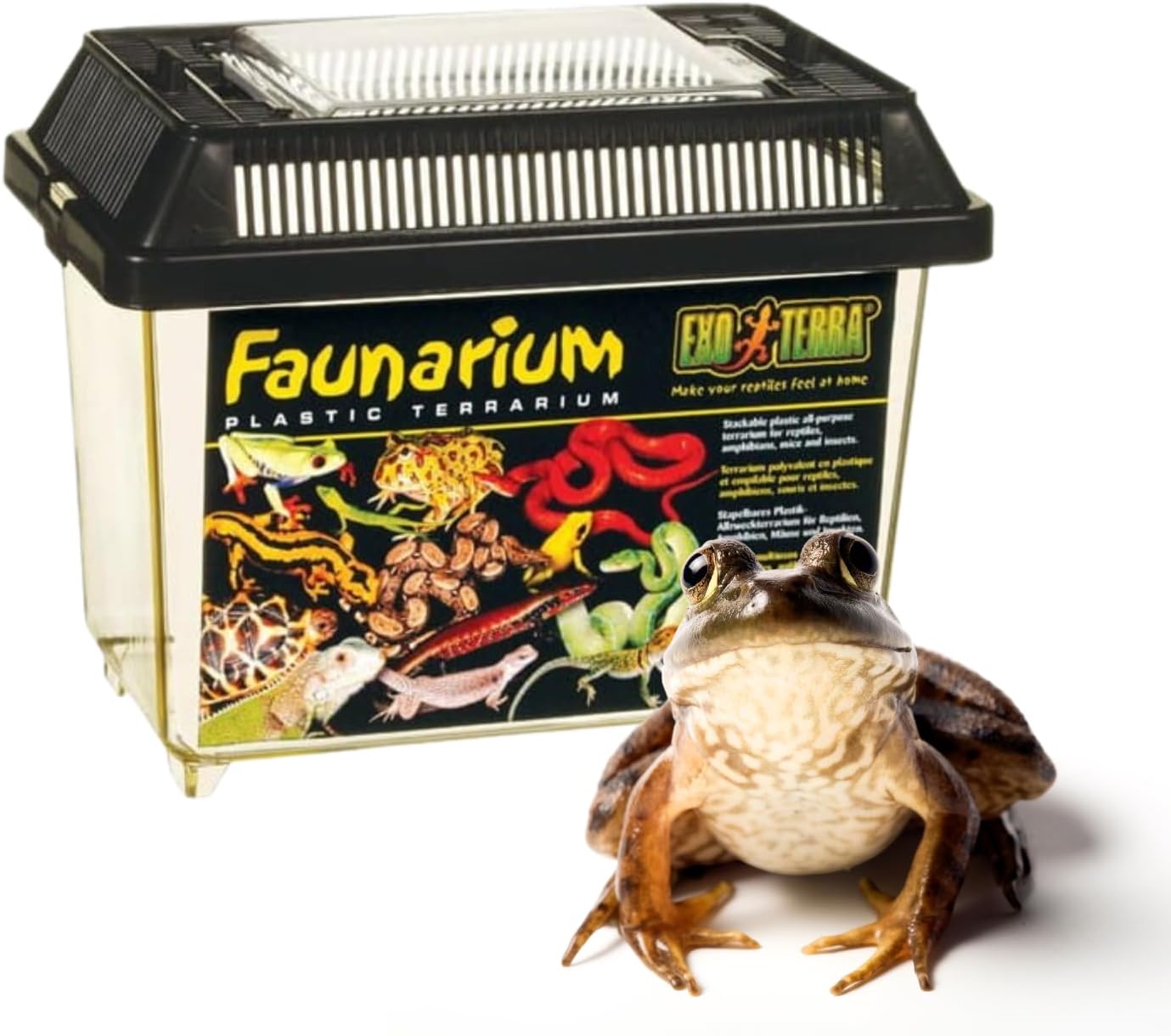 Exo Terra Faunarium