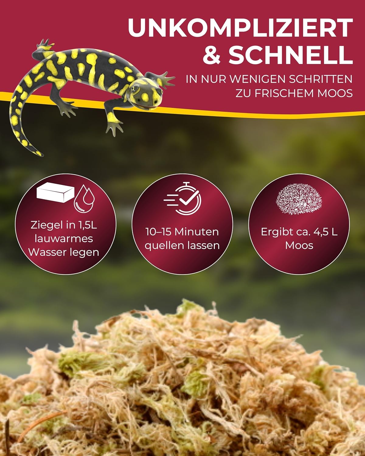 Hobby Terraristik Sphagnum Moss I 4 - Bild 4