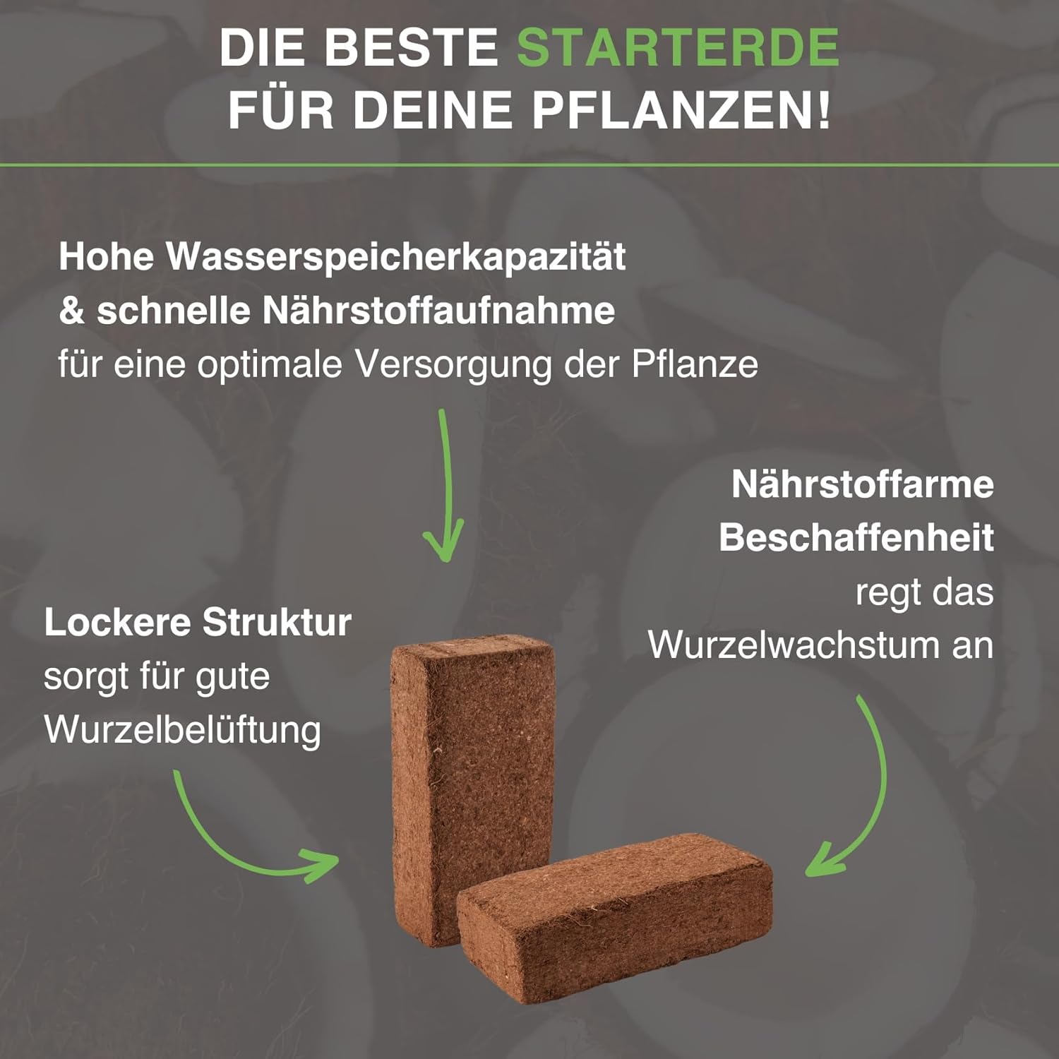 yayago Kokoserde Terrarium-Substrat - Bild 2