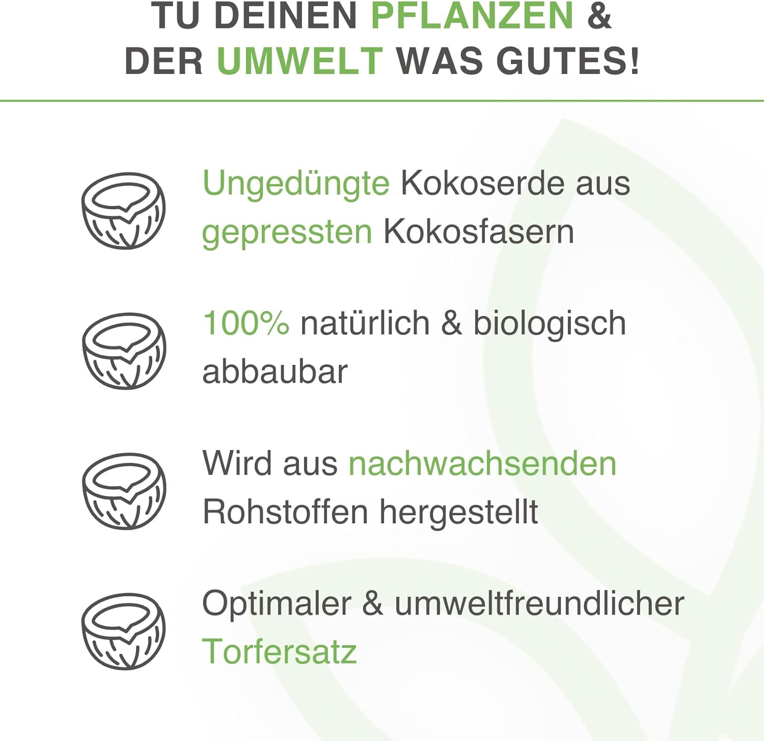 yayago Kokoserde Terrarium-Substrat - Bild 3