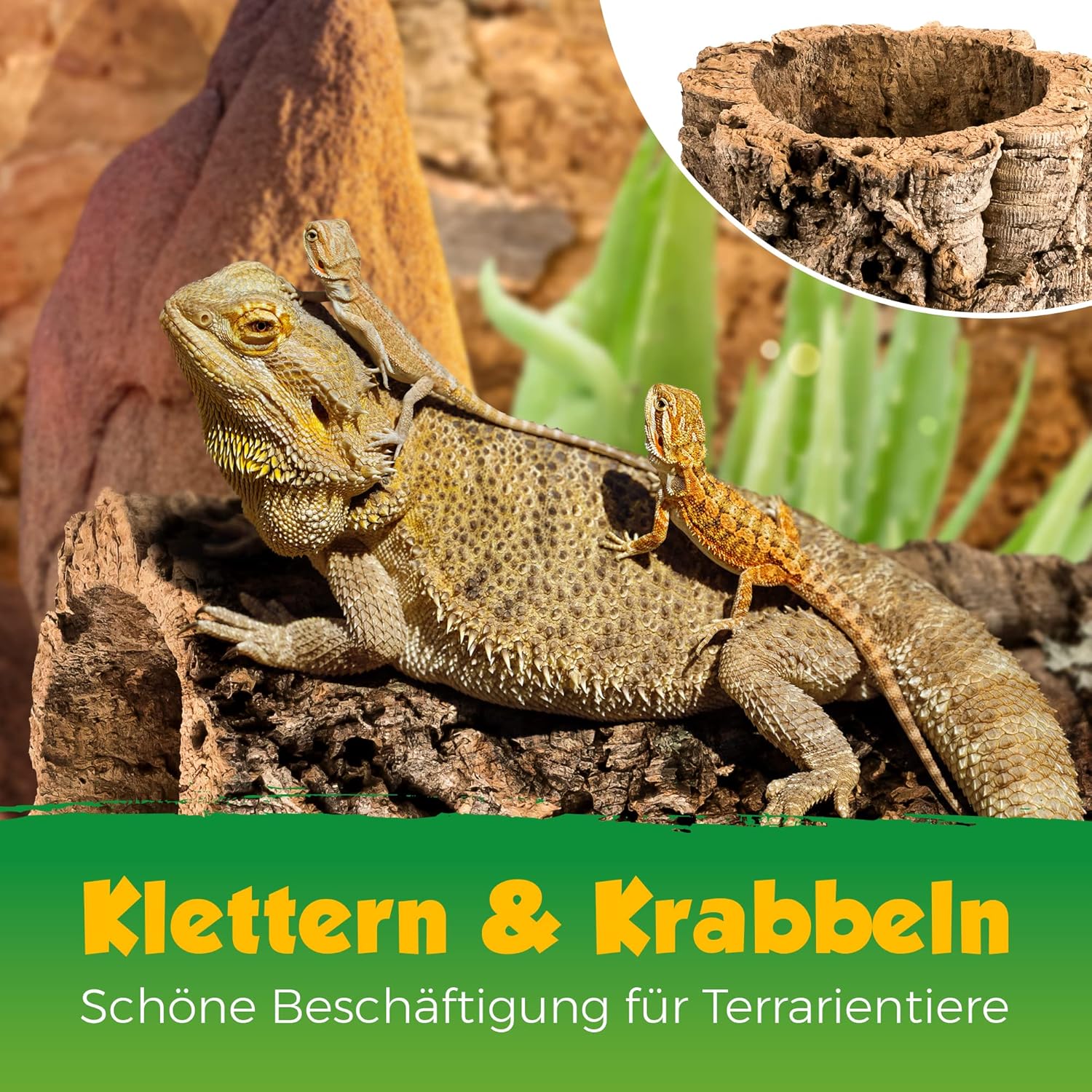 Kork-Deko Terrarium - Bild 3