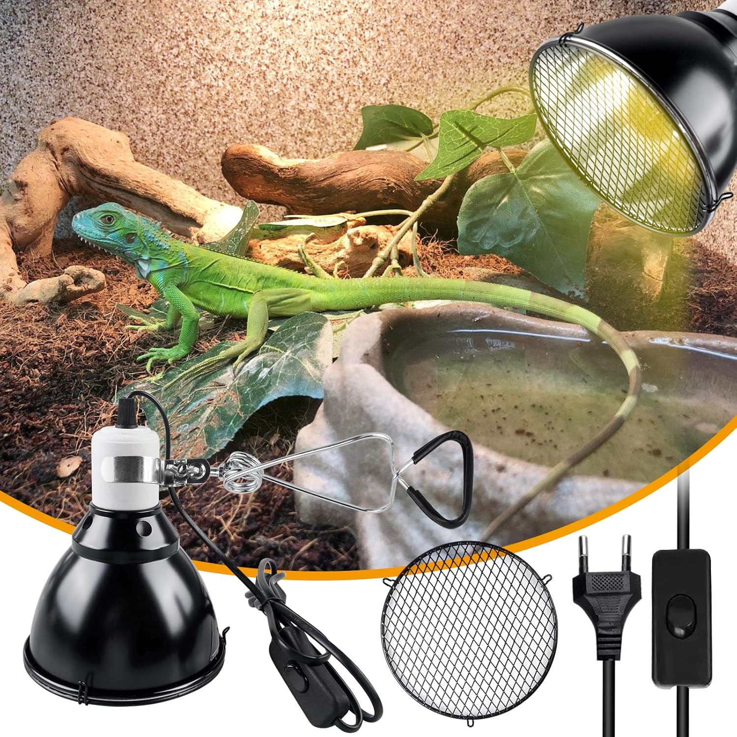 PORFOYO Terrarium - Bild 5