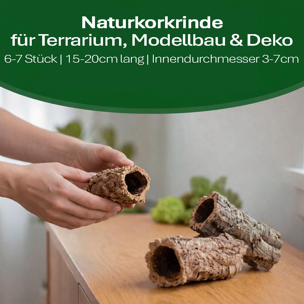 sphagnum-shop.com Terrarium - Bild 3