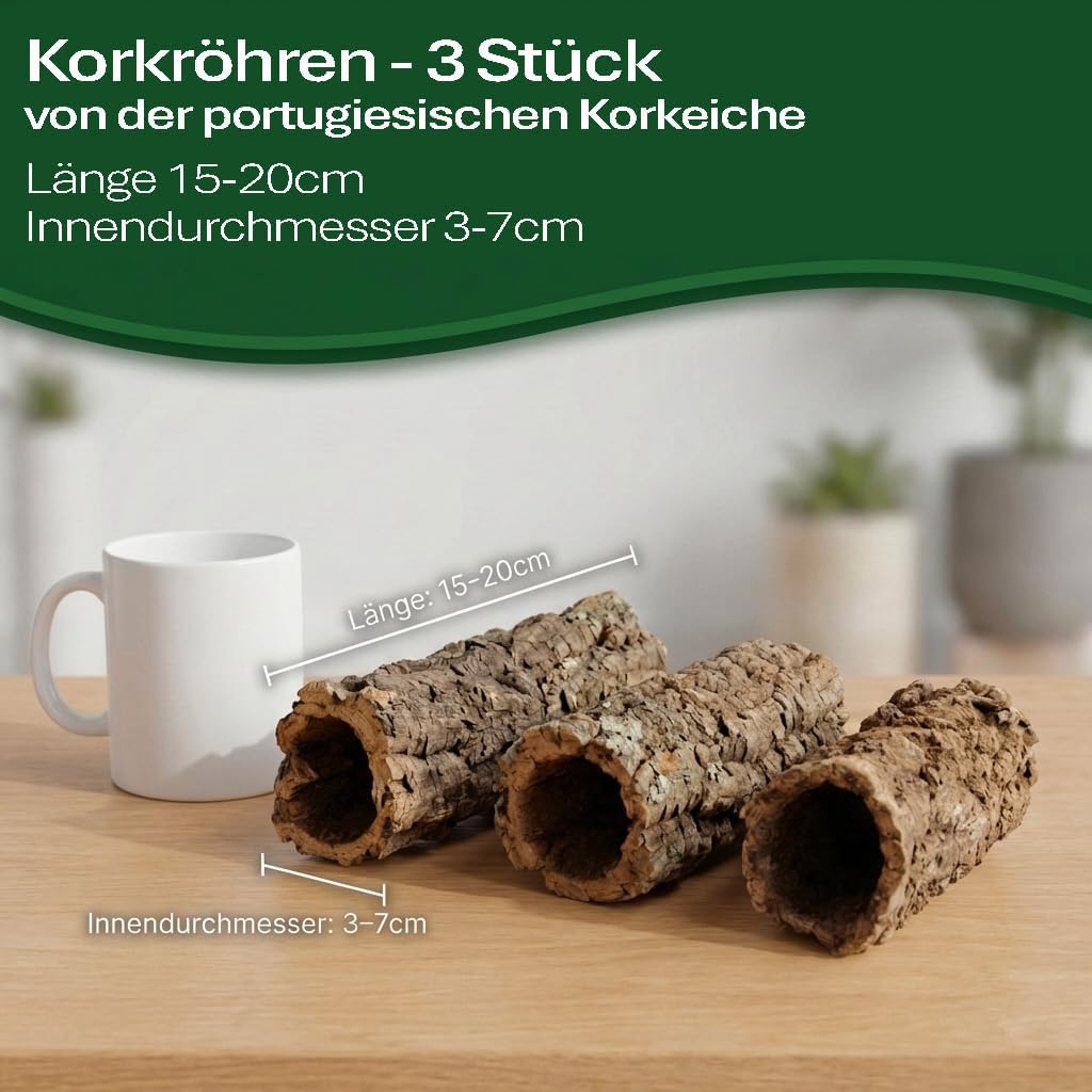 sphagnum-shop.com Terrarium - Bild 4