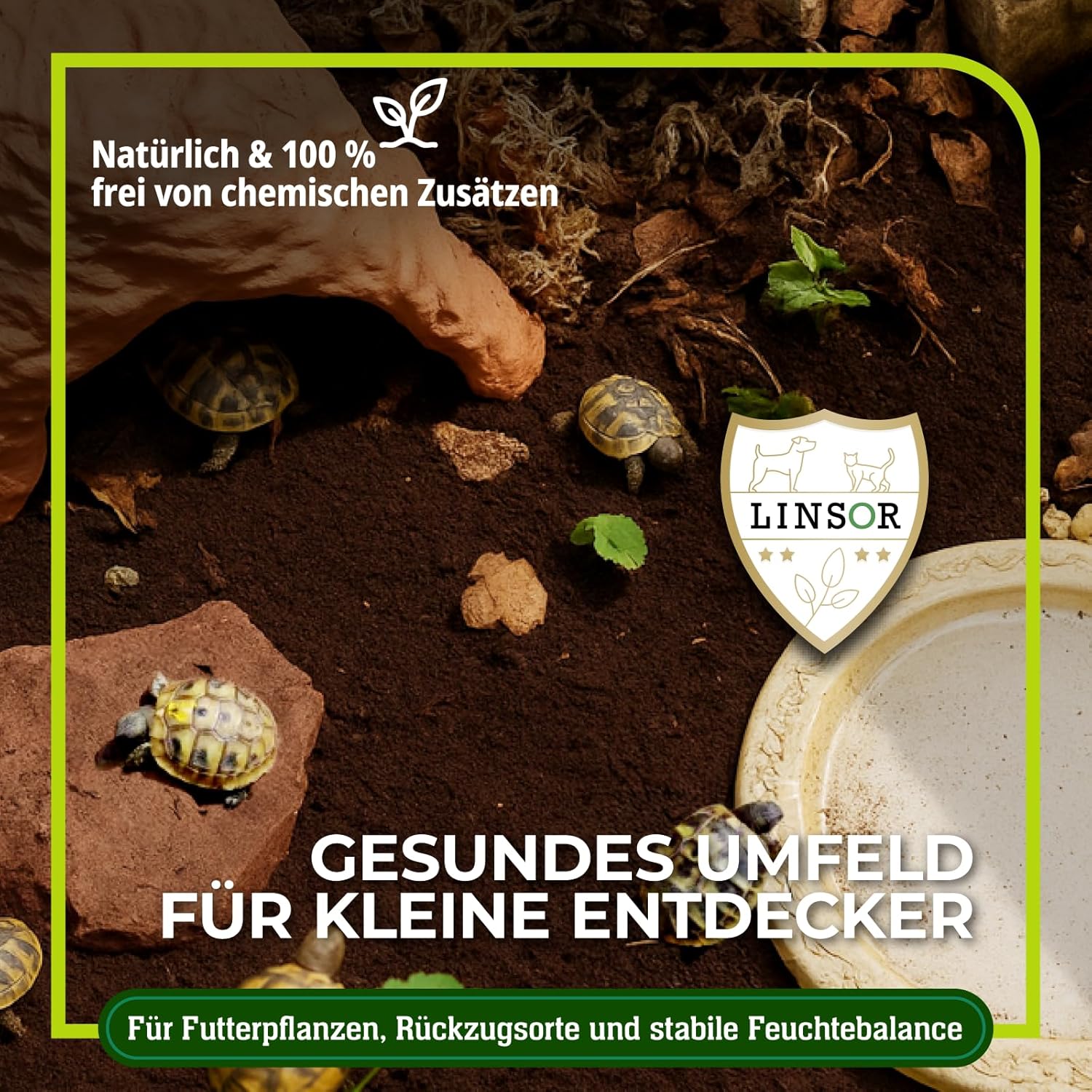 Linsor Terrarienerde 50 L - Bild 3