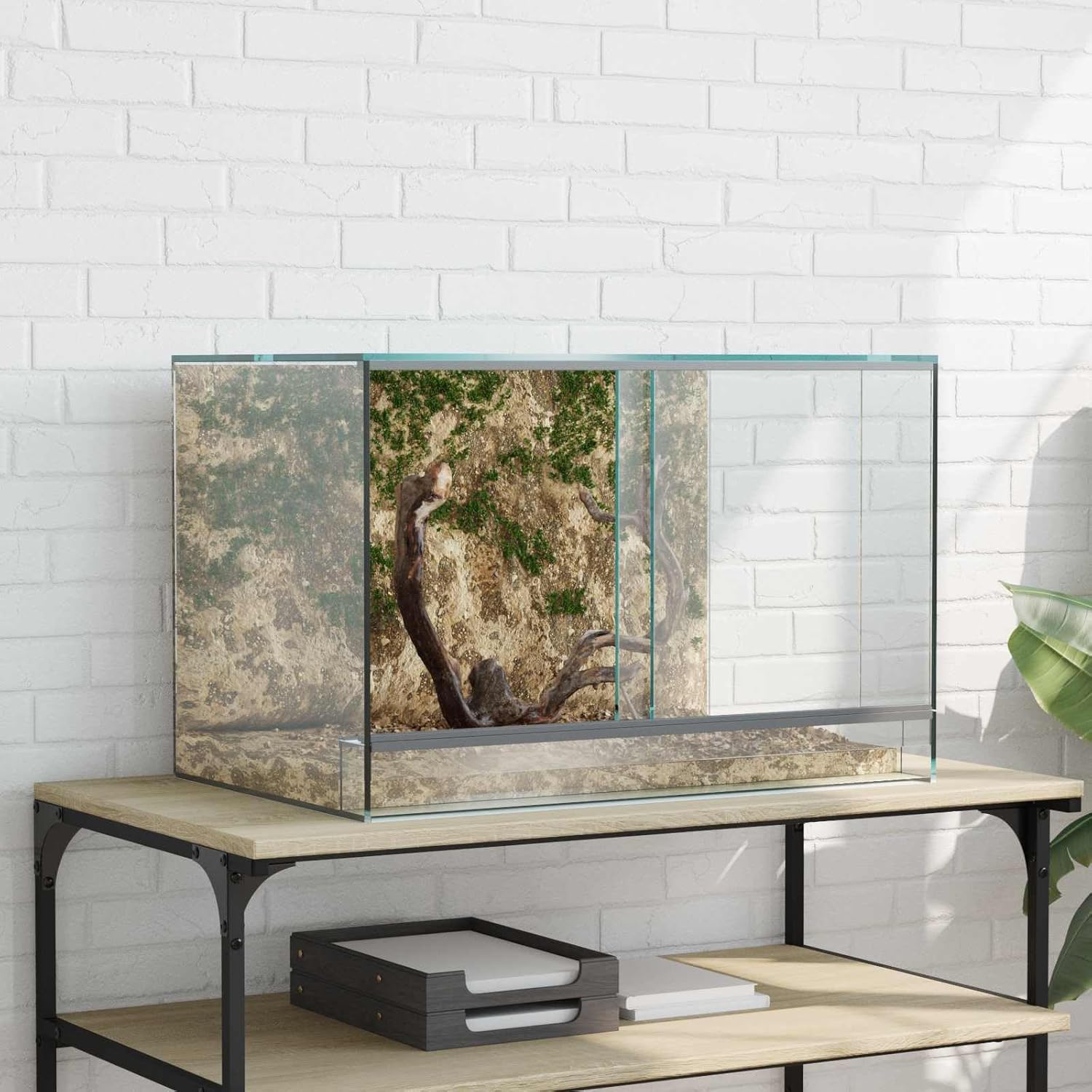 vidaXL Glasterrarium 60×40×40 cm - Bild 2