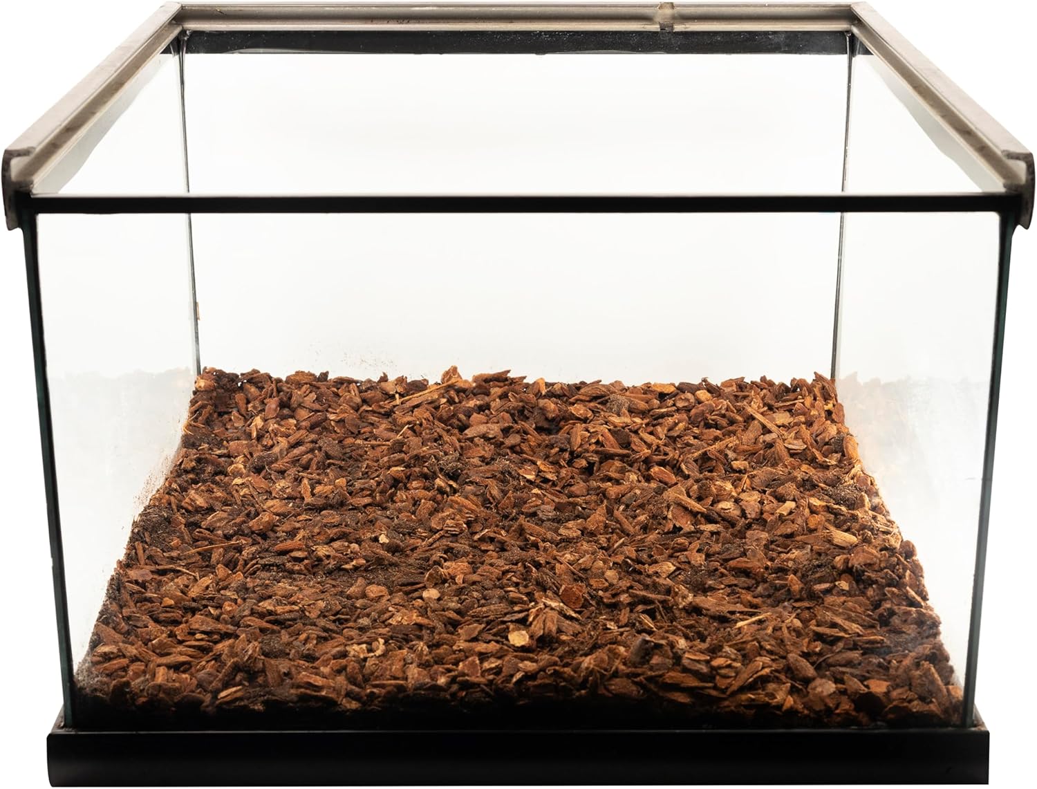Zoo Med Repti Bark – Terrarium Decor - Bild 3